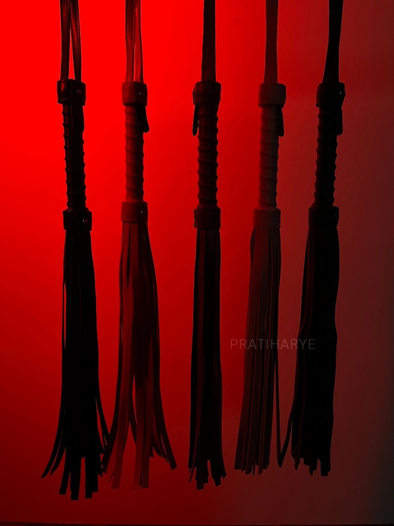 Premium High Quality Hunter/Whip Flogger