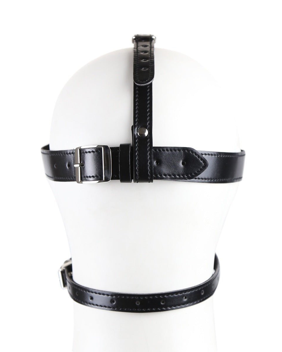 Blind Trust Gag Leather Bondage Mask with Ball Gag & Blindfold