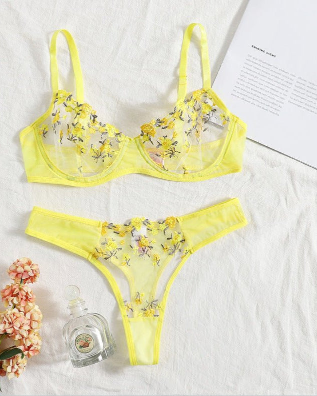 Stop & Stare Sheer Mesh Bra & Thong Lingerie