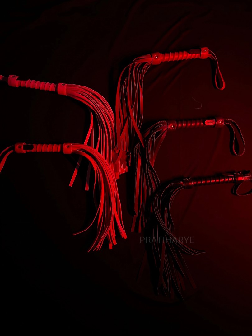 Premium High Quality Hunter/Whip Flogger