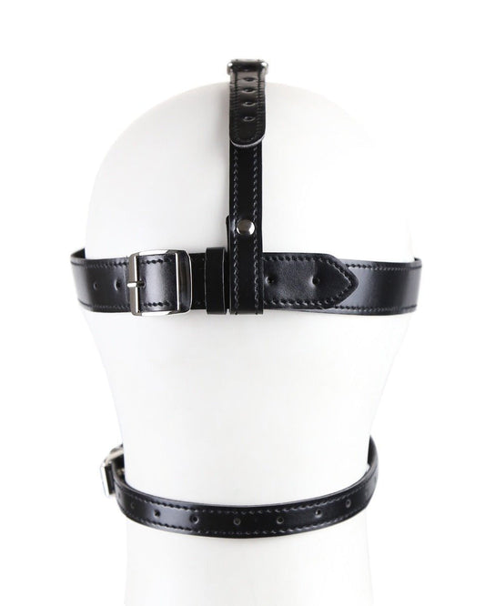 Blind Trust Gag Leather Bondage Mask with Ball Gag & Blindfold